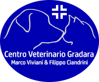 logo ambulatorio viviani