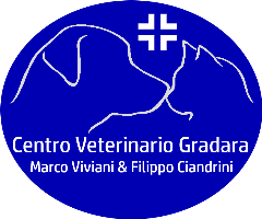logo ambulatorio viviani