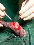 ortopedia ginocchio 2.jpg